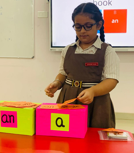 Articles Sorting Activity