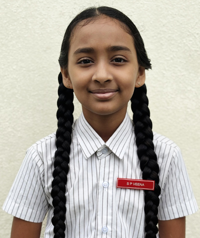 Veena